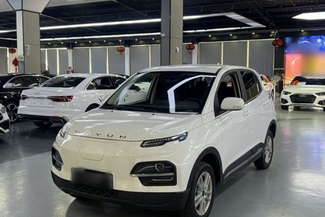 Used Dayun Yuehu 2023 300 Standard Edition