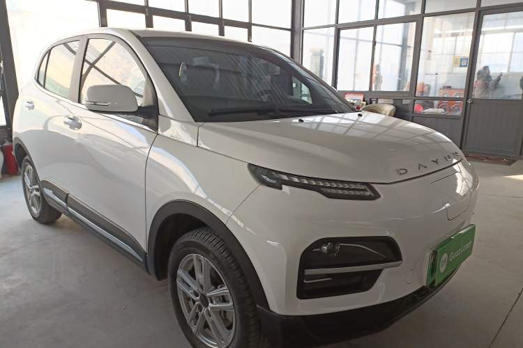 Used Dayun Yuehu 2023 300 Standard Edition Exterior 1