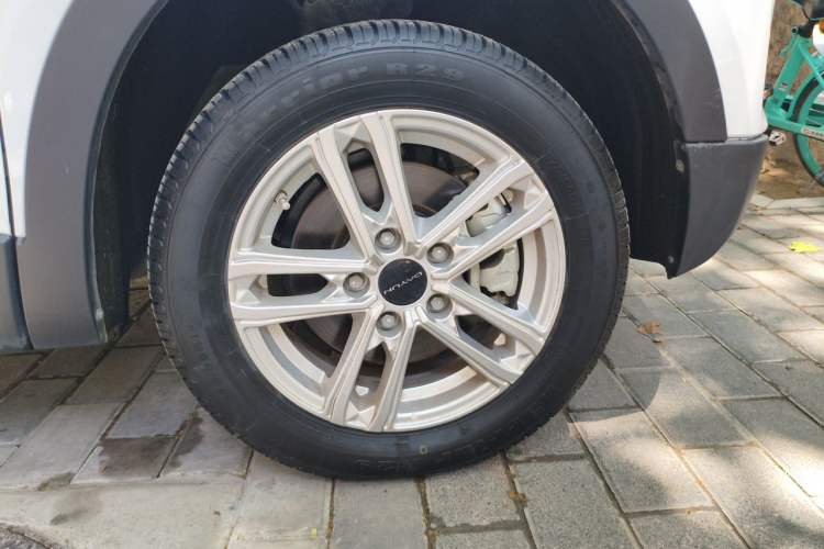 Used Dayun Yuehu 2023 300 Standard Edition Exterior 1