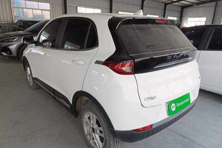 Used Dayun Yuehu 2023 300 Standard Edition Exterior 2