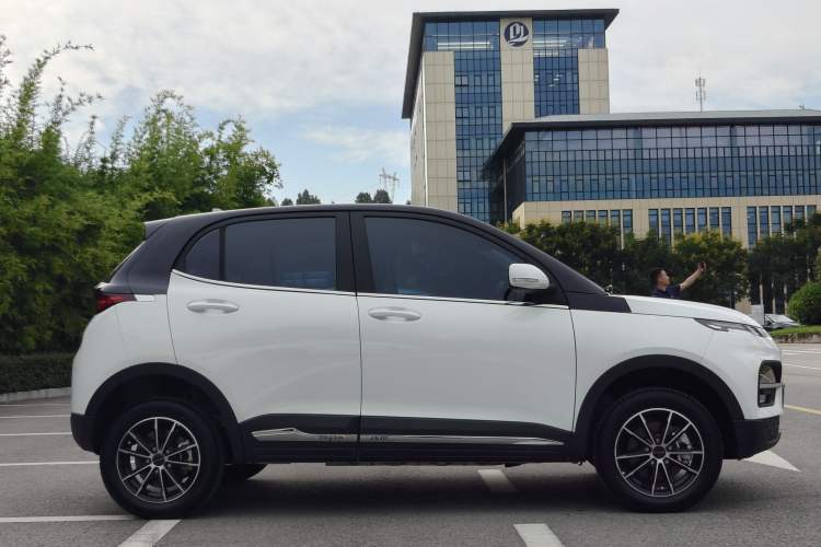 Used Dayun Yuehu 2023 230 Standard Edition Exterior 2