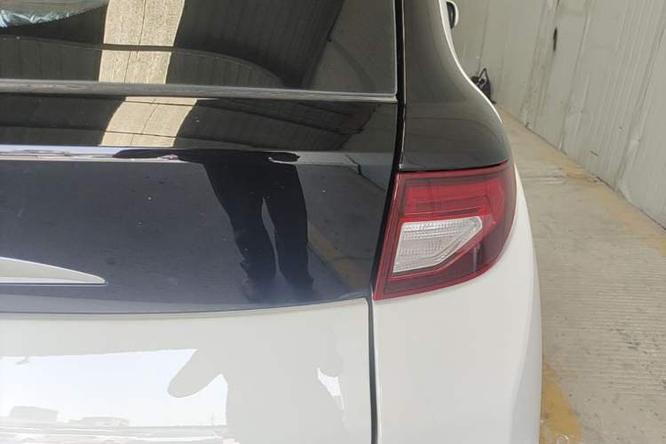 Used Dayun Yuehu 2023 300 Standard Edition Exterior 3