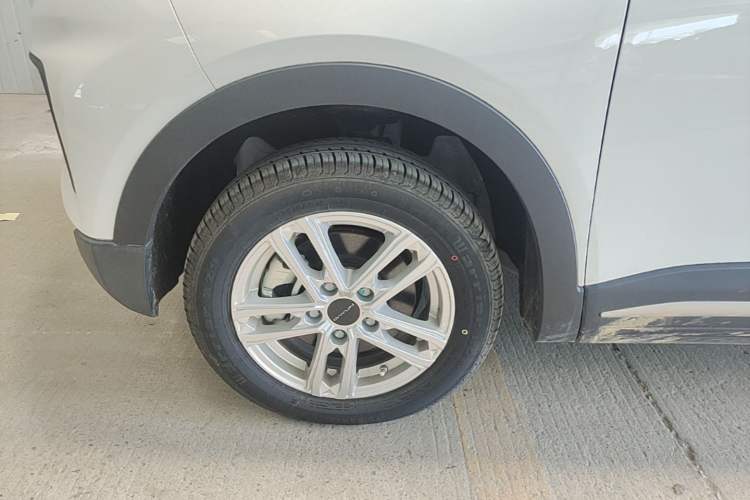 Used Dayun Yuehu 2023 300 Standard Edition Exterior 4