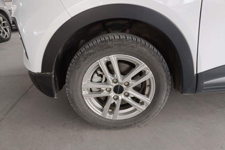 Used Dayun Yuehu 2023 300 Standard Edition Exterior 4