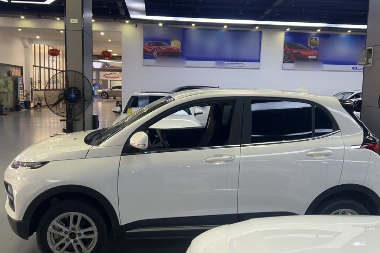 Used Dayun Yuehu 2023 300 Standard Edition Exterior 5