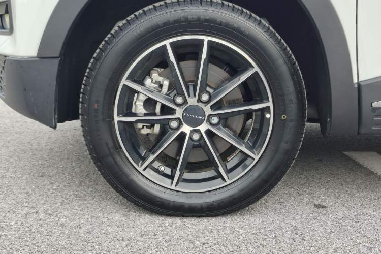 Used Dayun Yuehu 2023 230 Standard Edition Exterior 6