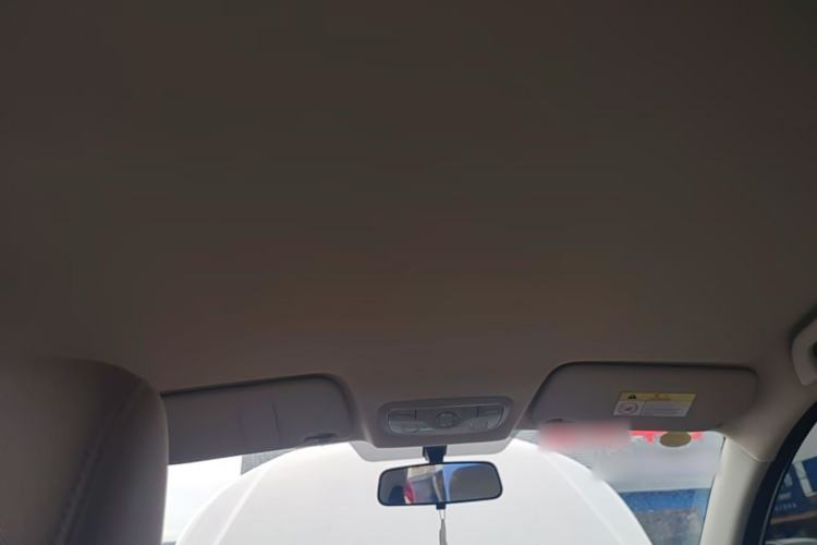 Used Dayun Yuehu 2023 230 Standard Edition Headliner
