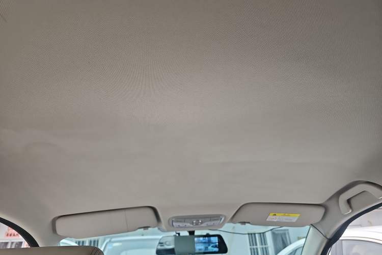 Used Dayun Yuehu 2023 230 Standard Edition Headliner