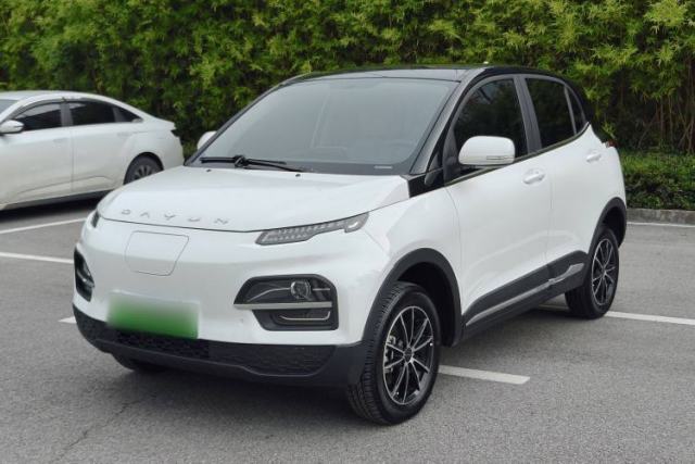 Used Dayun Yuehu 2023 230 Standard Edition