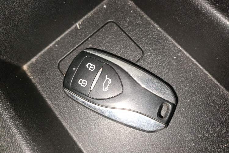 Used Dayun Yuehu 2023 300 Standard Edition Interior 1