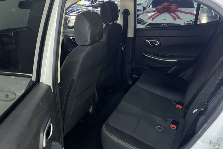 Used Dayun Yuehu 2023 300 Standard Edition Interior 2