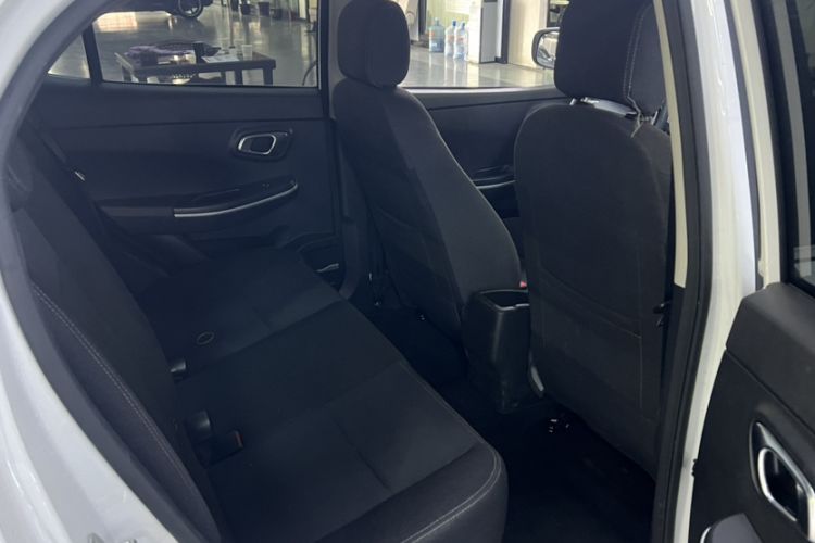 Used Dayun Yuehu 2023 300 Standard Edition Interior 3