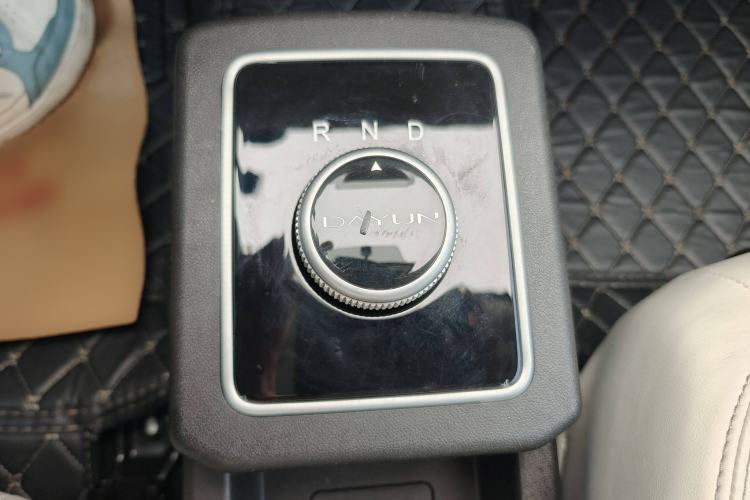 Used Dayun Yuehu 2023 230 Standard Edition Interior 4