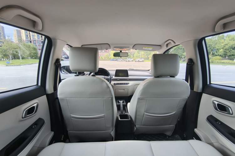 Used Dayun Yuehu 2023 230 Standard Edition Interior 7