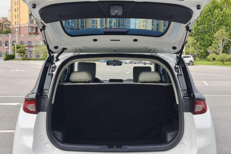 Used Dayun Yuehu 2023 230 Standard Edition Interior 8
