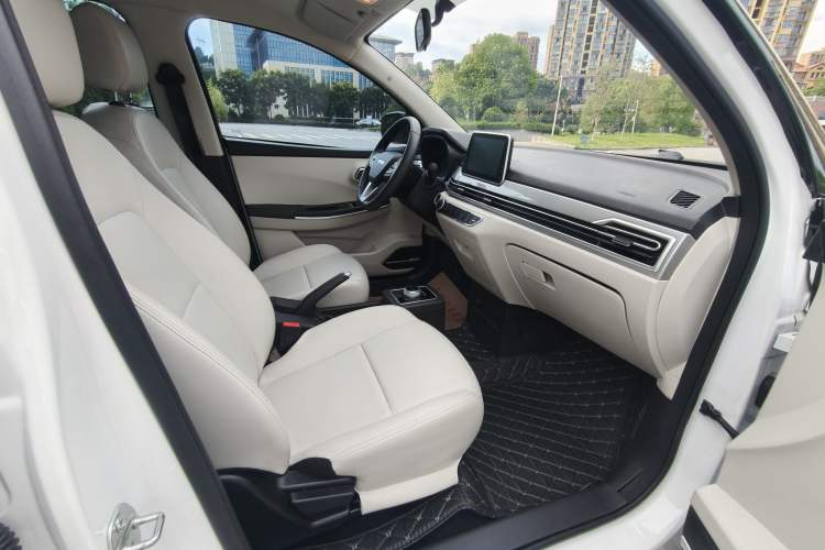 Used Dayun Yuehu 2023 230 Standard Edition Interior 9
