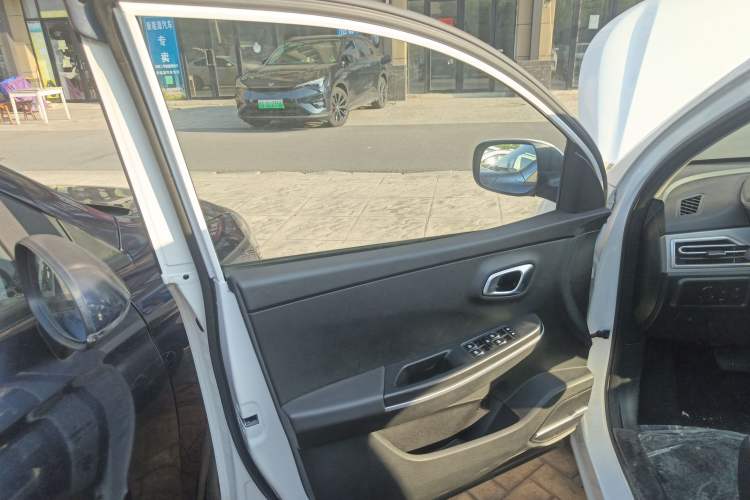 Used Dayun Yuehu 2023 300 Standard Edition Left Front Door Interior