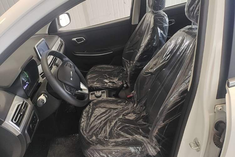 Used Dayun Yuehu 2023 300 Standard Edition Left Front Seat