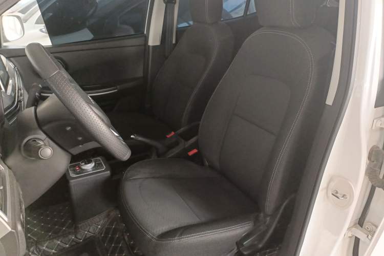Used Dayun Yuehu 2023 300 Standard Edition Left Front Seat