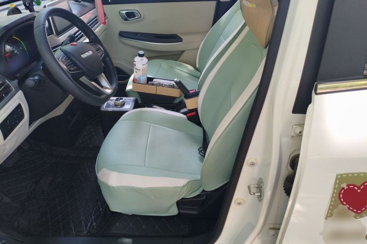 Used Dayun Yuehu 2023 300 Standard Edition Left Front Seat