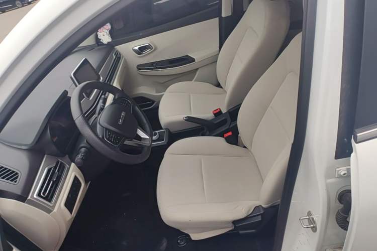 Used Dayun Yuehu 2023 230 Standard Edition Left Front Seat