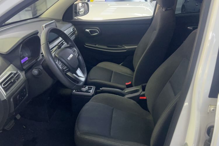 Used Dayun Yuehu 2023 300 Standard Edition Left Front Seat