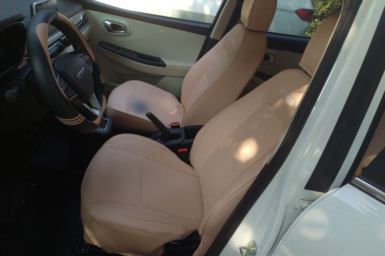 Used Dayun Yuehu 2023 330 Standard Edition Left Front Seat