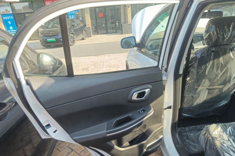 Used Dayun Yuehu 2023 300 Standard Edition Left Rear Door Interior