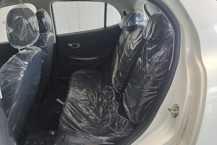 Used Dayun Yuehu 2023 300 Standard Edition Left Rear Seat