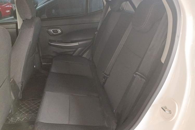 Used Dayun Yuehu 2023 300 Standard Edition Left Rear Seat