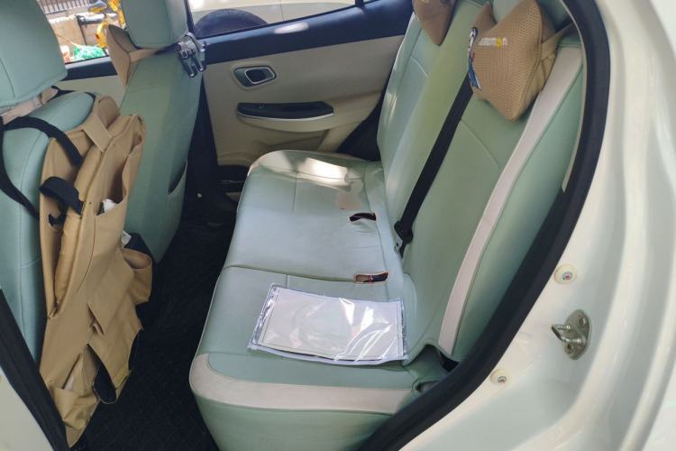 Used Dayun Yuehu 2023 300 Standard Edition Left Rear Seat