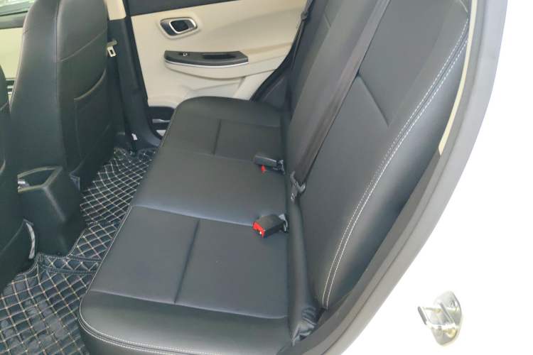 Used Dayun Yuehu 2023 300 Standard Edition Left Rear Seat
