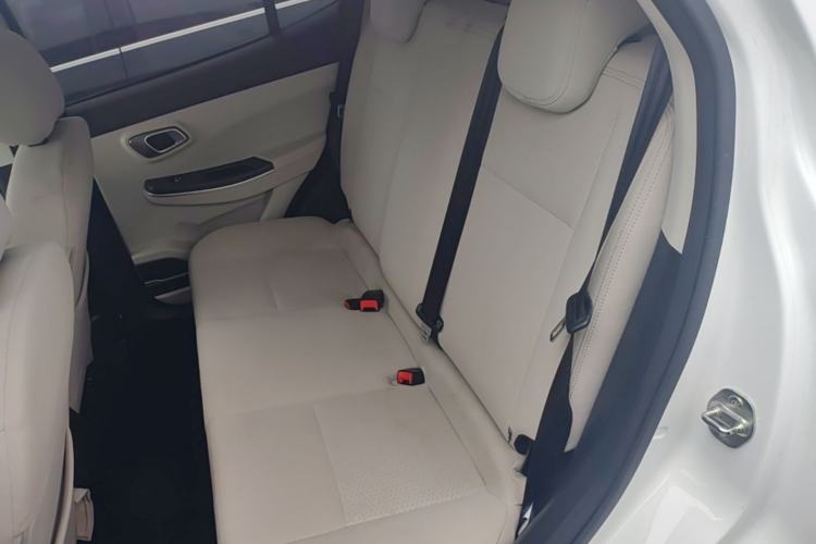 Used Dayun Yuehu 2023 230 Standard Edition Left Rear Seat
