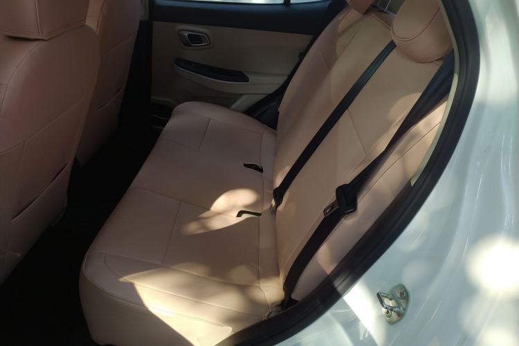 Used Dayun Yuehu 2023 330 Standard Edition Left Rear Seat