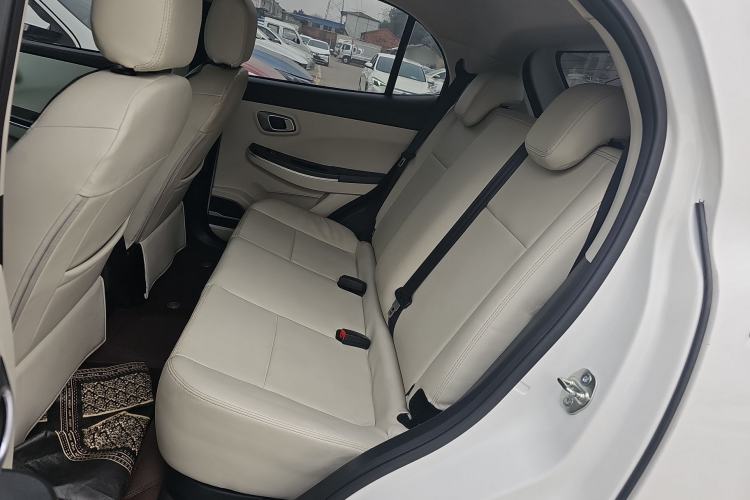 Used Dayun Yuehu 2023 230 Standard Edition Left Rear Seat