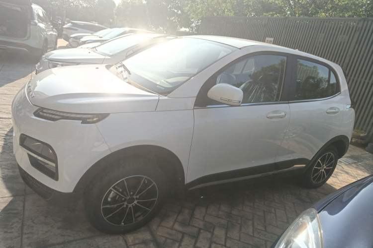 Used Dayun Yuehu 2023 300 Standard Edition Left Side