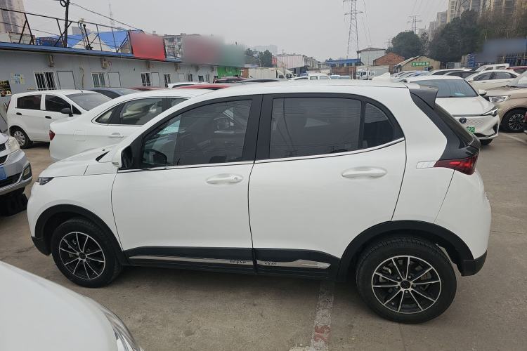 Used Dayun Yuehu 2023 230 Standard Edition Left Side