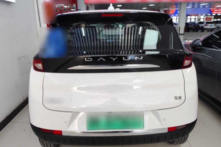 Used Dayun Yuehu 2023 300 Standard Edition Rear