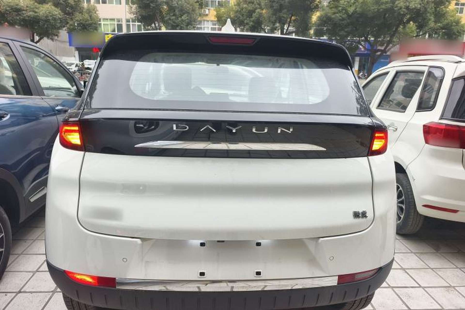Used Dayun Yuehu 2023 300 Standard Edition Rear