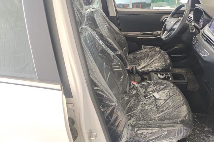 Used Dayun Yuehu 2023 300 Standard Edition Right Front Seat