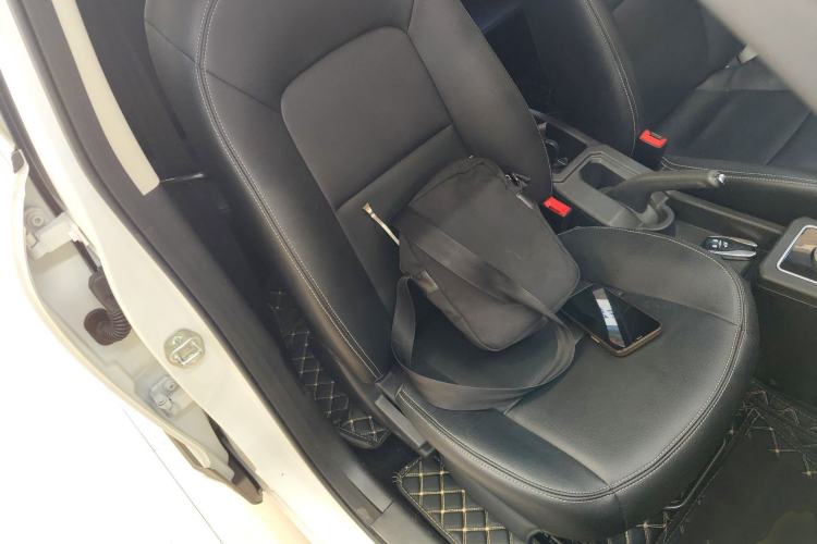 Used Dayun Yuehu 2023 300 Standard Edition Right Front Seat