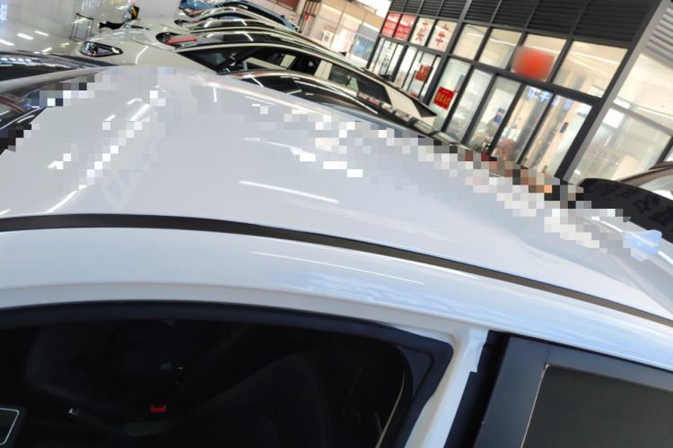 Used Dayun Yuehu 2023 300 Standard Edition Roof