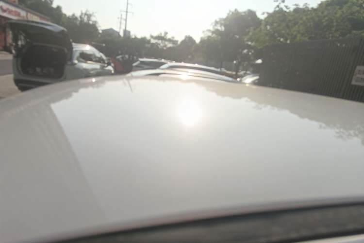 Used Dayun Yuehu 2023 300 Standard Edition Roof