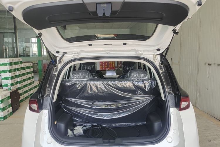Used Dayun Yuehu 2023 300 Standard Edition Trunk