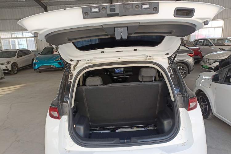 Used Dayun Yuehu 2023 300 Standard Edition Trunk