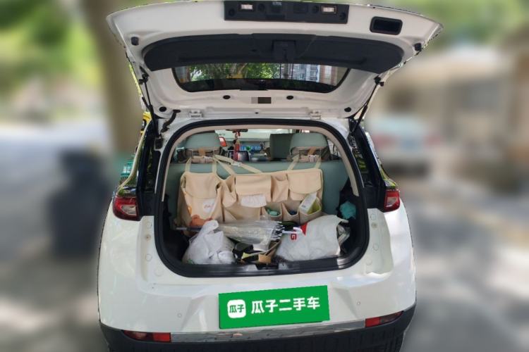 Used Dayun Yuehu 2023 300 Standard Edition Trunk