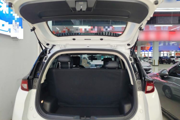 Used Dayun Yuehu 2023 300 Standard Edition Trunk