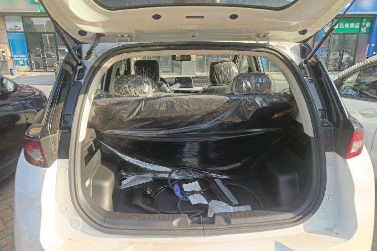 Used Dayun Yuehu 2023 300 Standard Edition Trunk