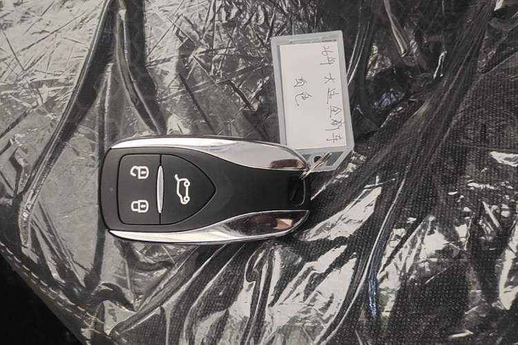 Used Dayun Yuehu 2023 300 Standard Edition Vehicle Key