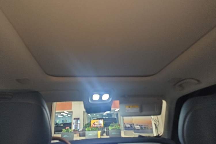 Used Deepal G318 2024 Four-Wheel-Drive Air Suspension Model Headliner
